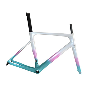 Carbon Bike Frame